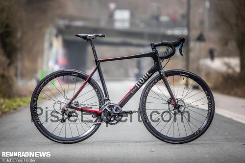 Rose Team GF Four fiche technique et avis